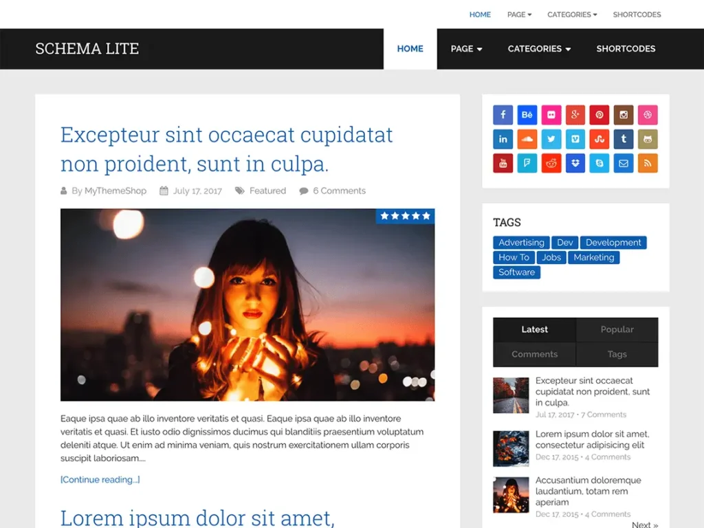 Best 40+ Free WordPress Blog Themes for Bloggers & Content Writers Schema Lite WordPress theme