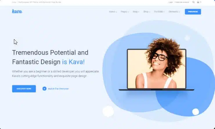 Elementor Themes - Which Themes Work Best with Elementor? Kava wp theme