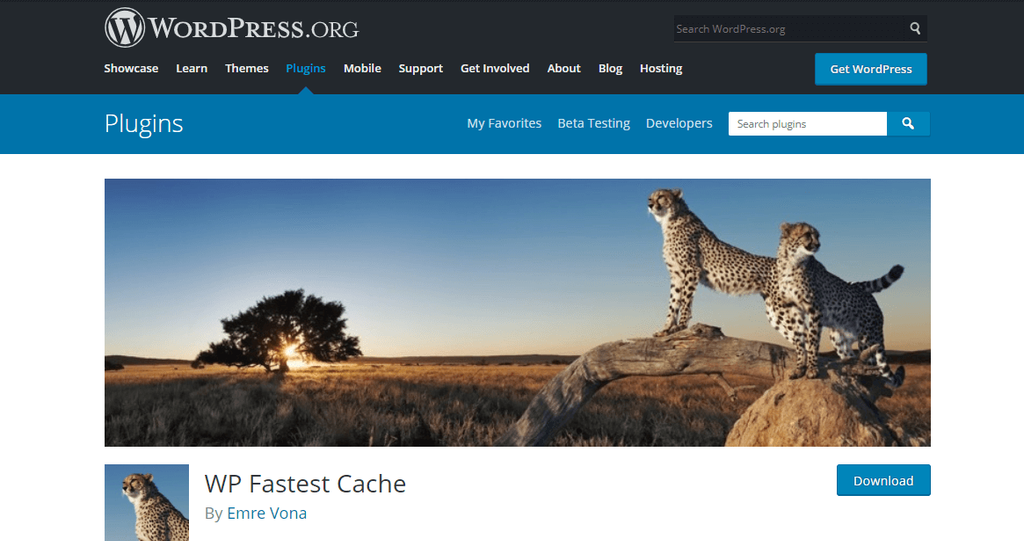 10 Best WordPress Caching Plugins - Increase Your Website Performance 10 Best WordPress Caching Plugins - Increase Your Website Performance