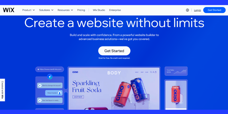 DIY vs. Pro: When to Use Best Free Website Builders and When to Hire a Developer? DIY vs. Pro: When to Use Best Free Website Builders and When to Hire a Developer?