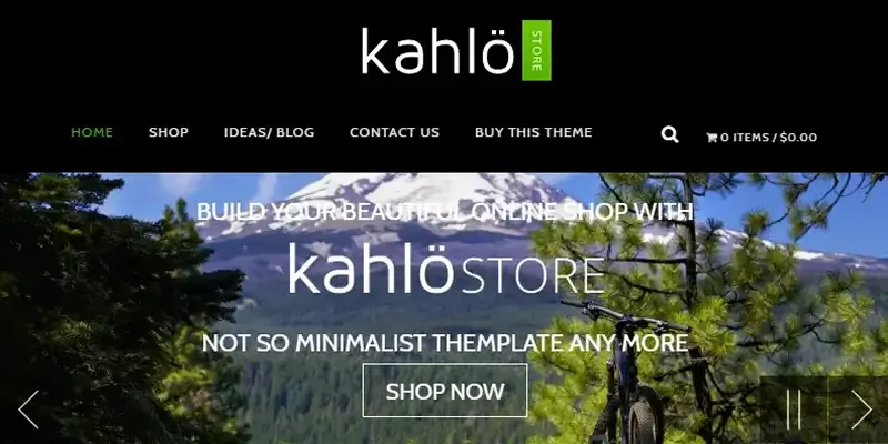 30 Best Camping WordPress Themes - Bring Your Outdoor Business Online Kahlo Store theme